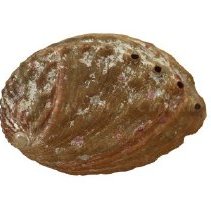 Omc 1960.692.001 A (2) Edited